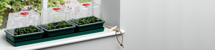 Propagation
