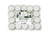 7 Hour Nightlights Pack 20 - Jasmine