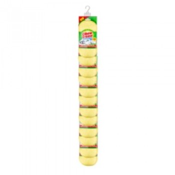 Scrubbing Pad - Single Scrubbing Pad - Single
