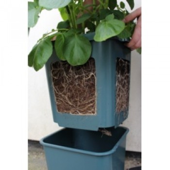Potato Pot Potato Pot