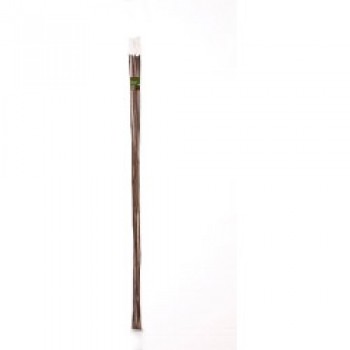Bamboo Canes - 8’ Pack of 10 Bamboo Canes - 8’ Pack of 10