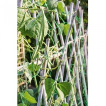 Pea & Bean Net - 4 x 2m Pea & Bean Net - 4 x 2m